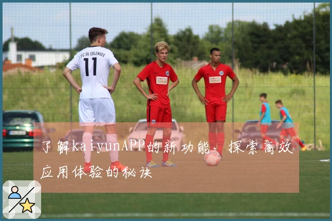 了解kaiyunAPP的新功能，探索高效应用体验的秘诀