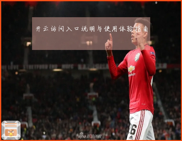 开云访问入口说明与使用体验指南